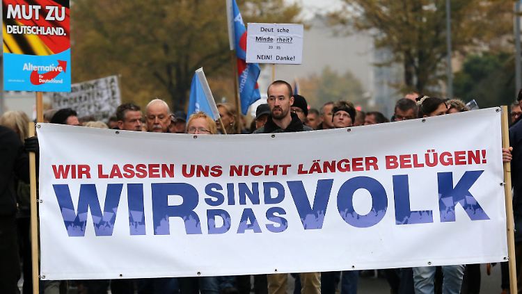 Teilnehmer einer AfD-Demonstration in Rostock: Häufig nehmen Anhänger von AfD und NPD in Mecklenburg-Vorpommern an denselben Veranstaltungen teil.