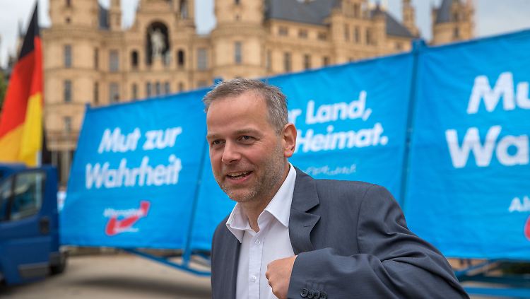 Holm will in Merkels Wahlkreis antreten.