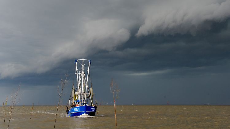 Forscher warnen auch vor den Auswirkungen des Klimawandels auf Küsten.