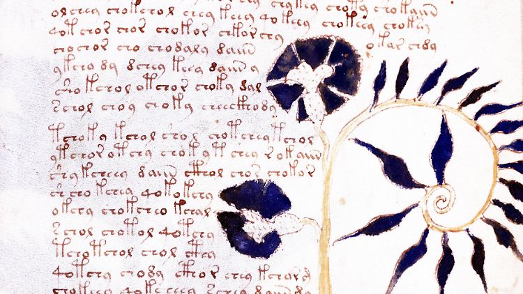 Das Voynich-Manuskript ist eines der rätselhaftesten Schriftstücke der Welt.