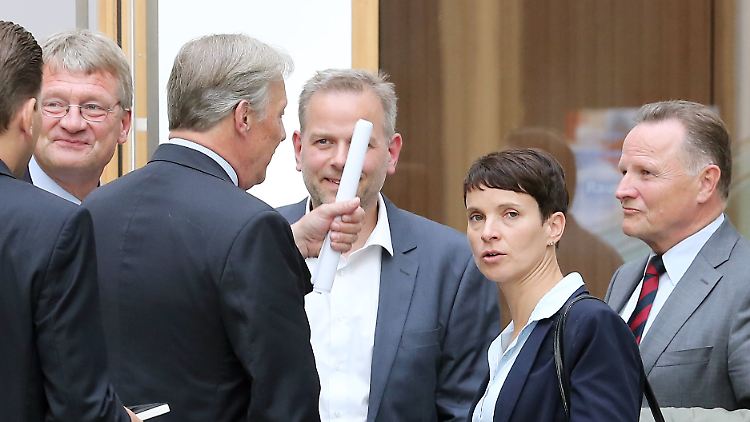 Natürlich gibt es Frauen in der AfD, nicht zuletzt Parteichefin Frauke Petry. Aber die AfD zieht mehr Männer als Frauen an.
