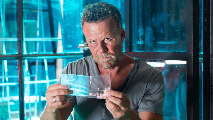 RTL-Reporter Jenke von Wilmsdorff macht das wirklich! Unter der Aufsicht eines Drogenexperten von der Uni Freiburg wird Jenke die Wirkung verschiedener Drogen ausprobieren. 