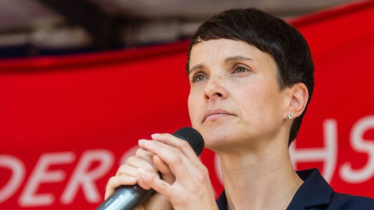 AfD-Vorsitzende Frauke Petry.