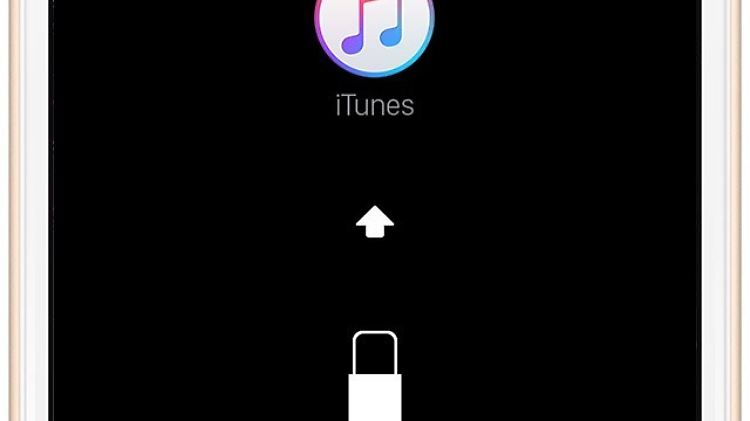 Das sahen einige iPhone-Nutzer, nachdem sie das Update auf iOS 10 gestartet hatten.