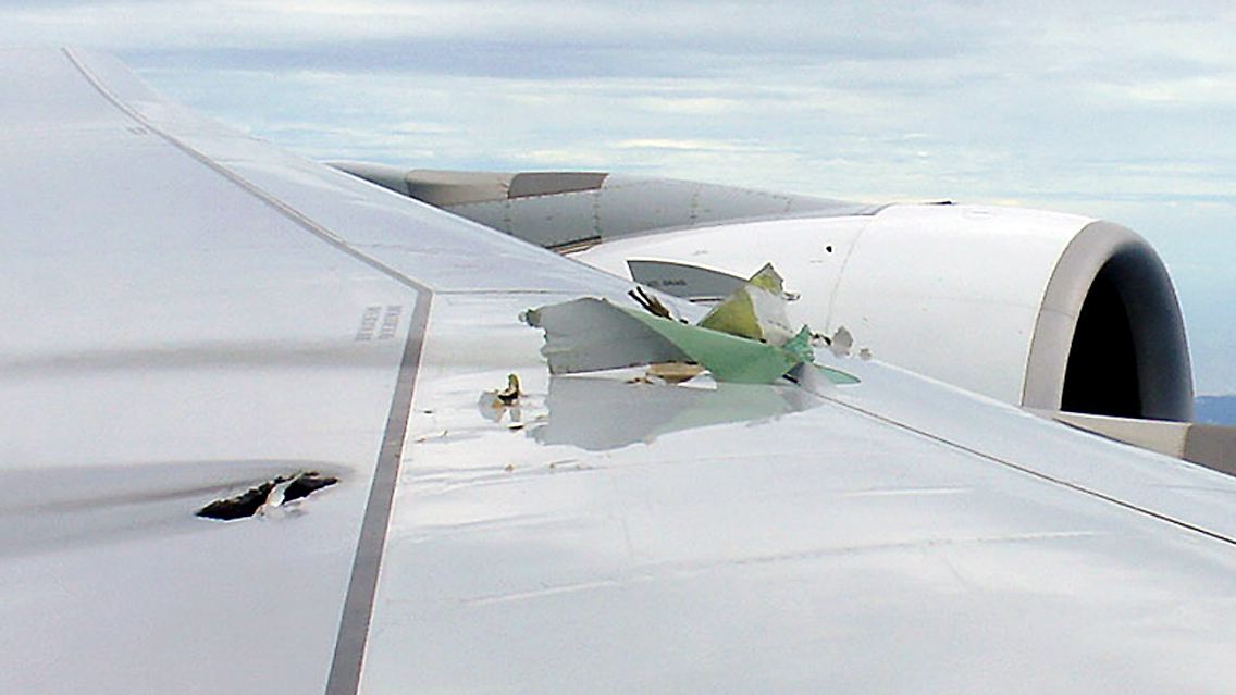 2010-11-04T122906Z_01_SIN801_RTRMDNP_3_QANTAS-PLANE.JPG6369403925019926486.jpg
