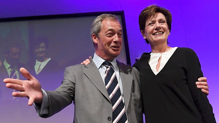 Als erste Frau führt Diane James nun die Partei Ukip an.