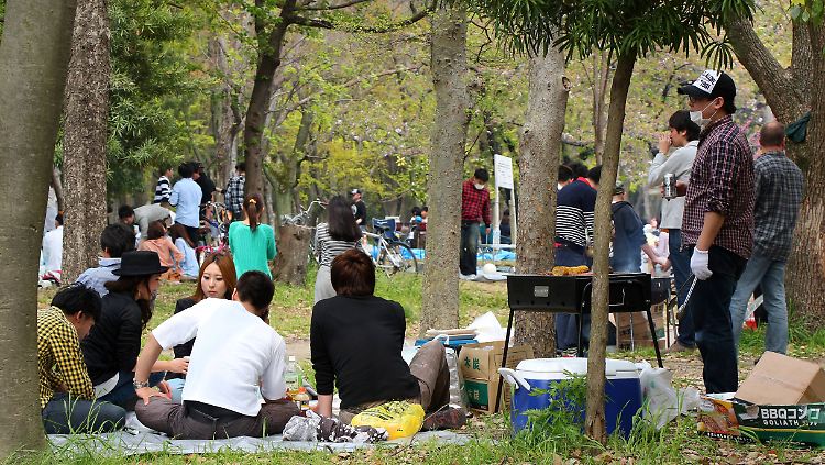 Junge Japaner fangen oft gar nicht erst an mit der Liebe.