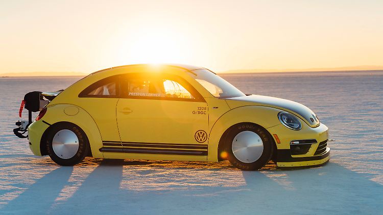 Als Rennsemmel aufgemotzt verschieben sich selbst beim knuffigen Beetle die Proportionen ganz fürchterlich.