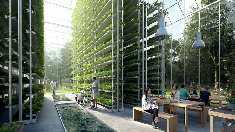 ReGen Villages legt nicht nur Wert auf Selbstversorgung und Umweltschutz, sondern auch auf modernen Lifestyle.