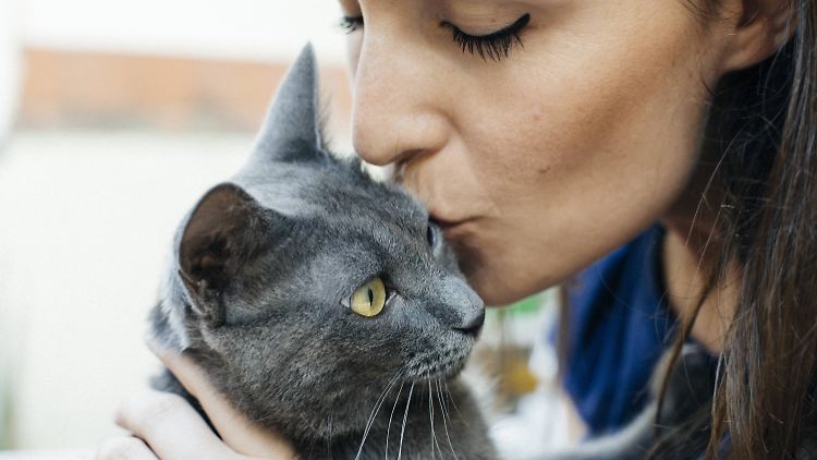 Die Katze sollte man lieber nicht küssen.