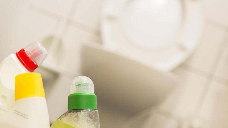 Haben Sie beim Reinigen der Toilette auch an die Rück- und die Außenseite gedacht?