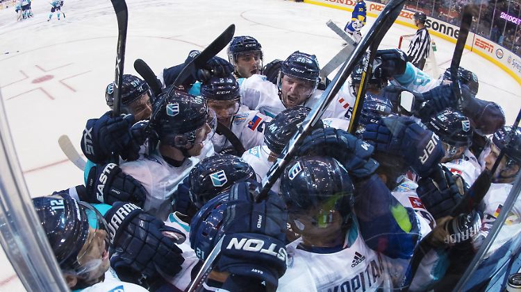 "Nur wir. Buchstäblich nur wir": Europas Eishockeyspieler beim Sieg gegen Schweden.