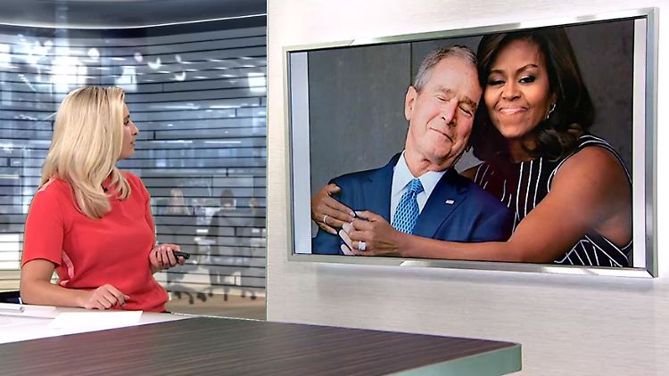 Netzreporter dem. rep..PNG