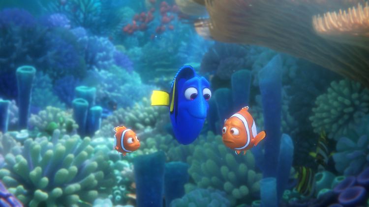 Jetzt hat sie auch ihren eigenen Film: die blau-gelbe Palettendoktorfisch-Dame Dorie.