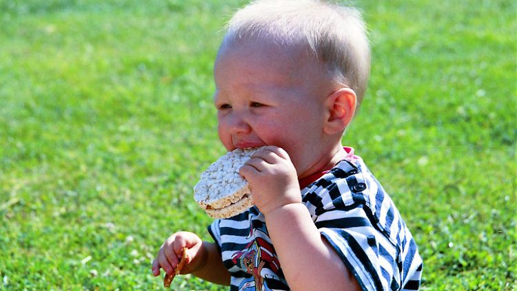 Reiswaffeln sollten besser nicht in die Hände und Münder von Babys und Kleinkinder geraten. 
