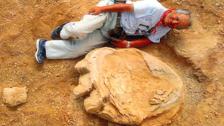1,06 Meter: Zum Zwecke des Größenvergleichs legte sich einer der Forscher neben den riesigen Abdruck.