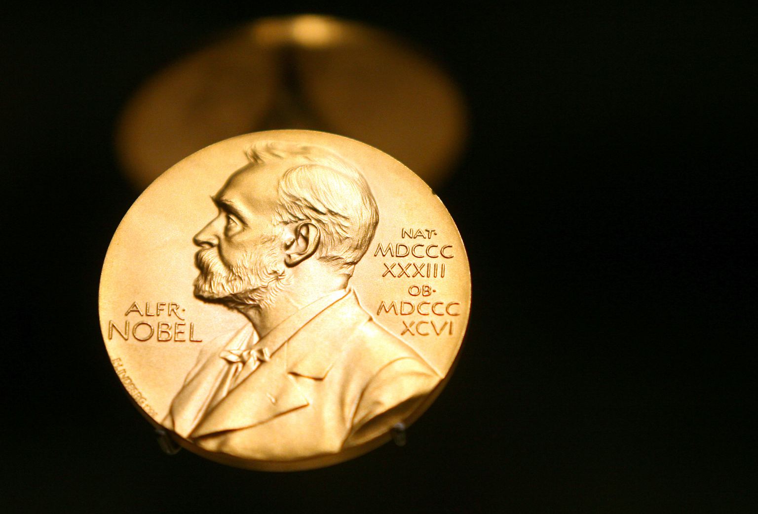 Der Nobelpreis gilt als die höchste Auszeichnung in der Welt der Wissenschaften. Jedes Jahr wird er in verschiedenen Kategorien vergeben.