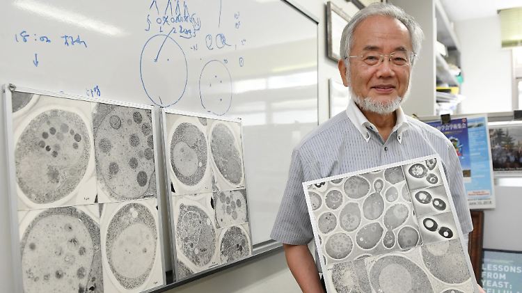 Yoshinori Ohsumi ist der neueste Nobelpreisträger.