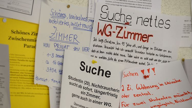 Im Schnitt müssen Studenten 407 Euro zahlen.