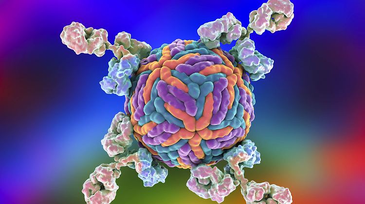 Die Computergrafik zeigt ein Zika-Virus, das von Antikörpern umgeben ist.
