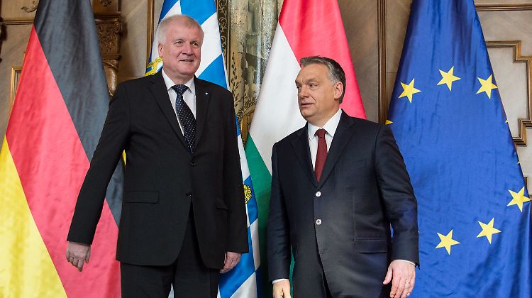 Verstehen sich gut: Seehofer und Orban Anfang März in Budapest.