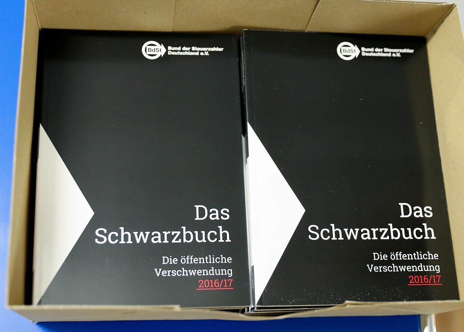 Wohin bloß mit dem ganzen Geld, scheint sich so manche Gemeinde in Deutschland zu denken. Diesen Eindruck bekommt zumindest, wer das neue Schwarzbuch des Bundes der Steuerzahler in den Händen hält.