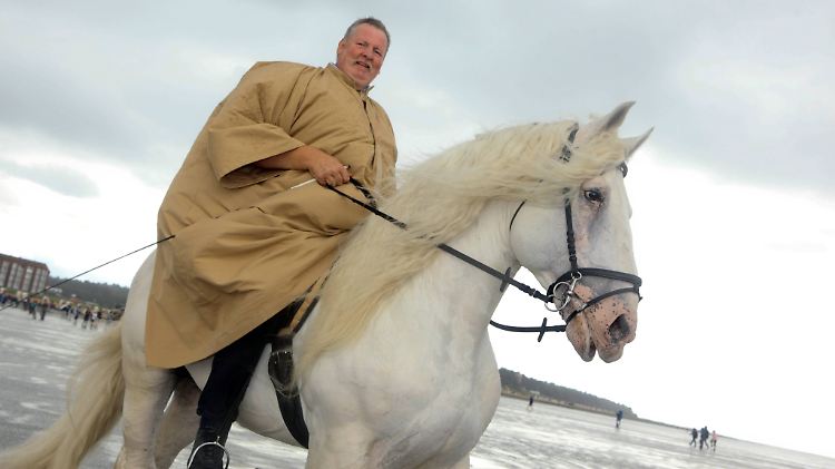 Tamme Hanken auf seinem Boulonnais-Schimmel Jumper.