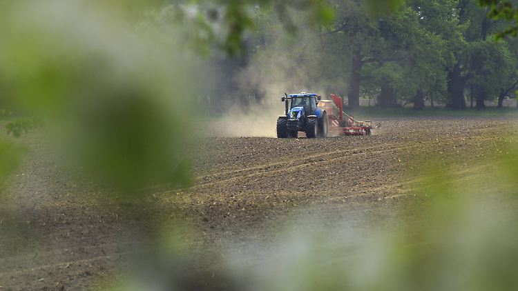 Als Beispiel für zu unrecht vergebene Mittel führt der Rechnungshof Subventionen an Landwirte an, die auf falschen Angaben beruhen. 
