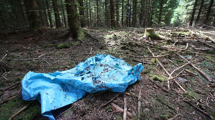 Im Juli 2016 findet ein Pilzsammler im Unterholz in einem Wald im thüringischen Landkreis Saale-Orla-Kreis Skelettreste.