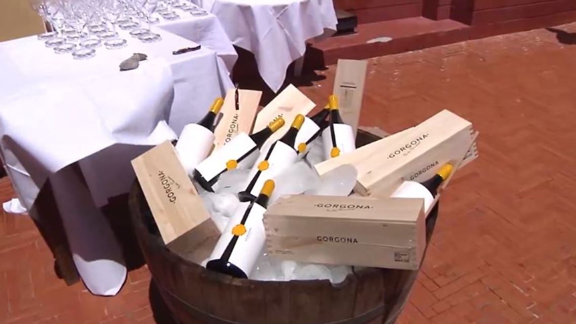 Wein Gefängnisinsel.JPG