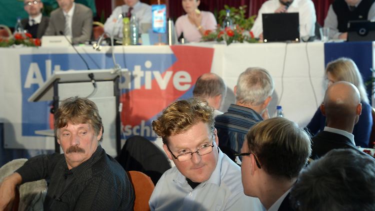 Samtleben (vorne Mitte) wäre "eine Zumutung für die AfD-Mitglieder und vor allem für die Wähler der AfD gewesen", begründet Frauke Petry den Eingriff in die Liste zur Landtagswahl.