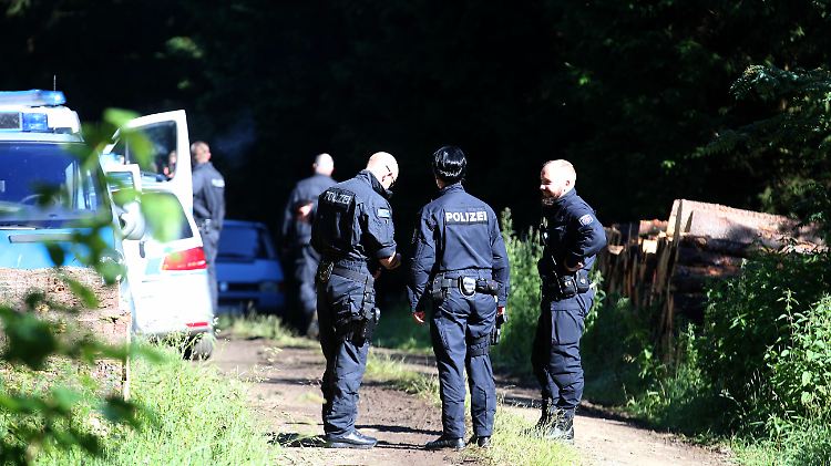 Erst im Juli 2016 werden die Überreste von Peggy in einem Waldstück zufällig entdeckt.