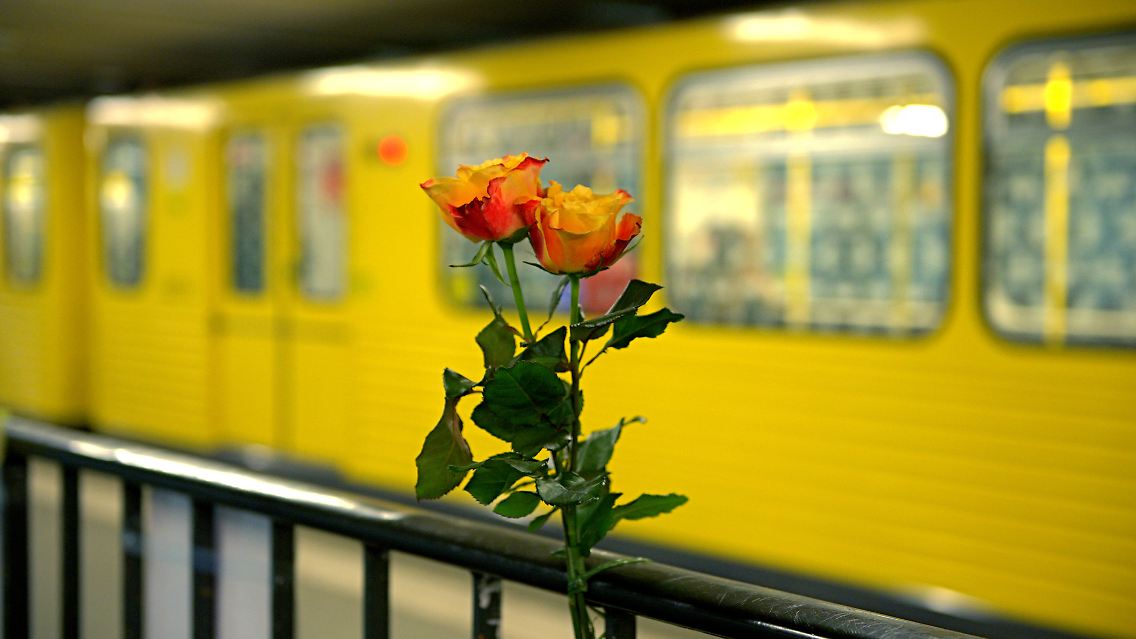 84523495.jpg