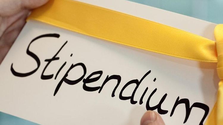 Grundsätzlich sind Stipendien steuerfrei, wenn sie von einer öffentlichen Einrichtung getragen werden und in etwa den Lebensunterhalt während der Ausbildung decken. 