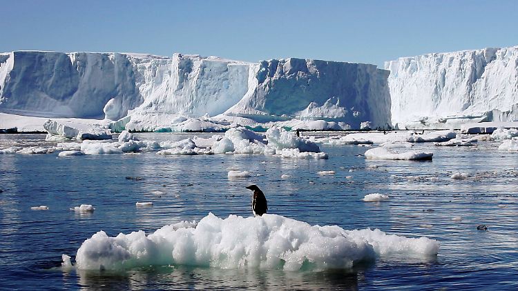 Einsamer Pinguin in der Antarktis: So soll es bleiben.