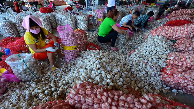 Geld stinkt doch, wenn man es in Knoblauch investiert. 