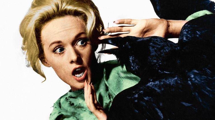 "Die Vögel" machte Tippi Hedren berühmt.