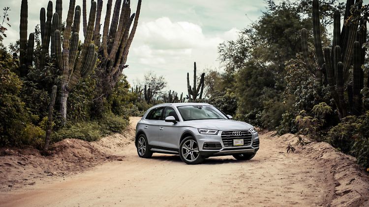 Der Audi Q5 hatte bis zum Diesel-Skandal einen guten Ruf. Jetzt droht auch er ins Schlingern zu geraten.