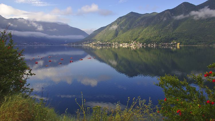 Blick auf die Bucht von Kotor.