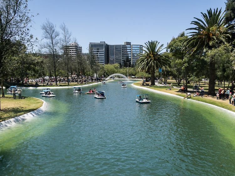Im Parque La Carolina haben die Stadtplaner eine Lagune angelegt, in der man Tretboot fahren kann. Der Park ist am Wochenende voll mit Quiteños, die ihre freie Zeit mit der Familie genießen.