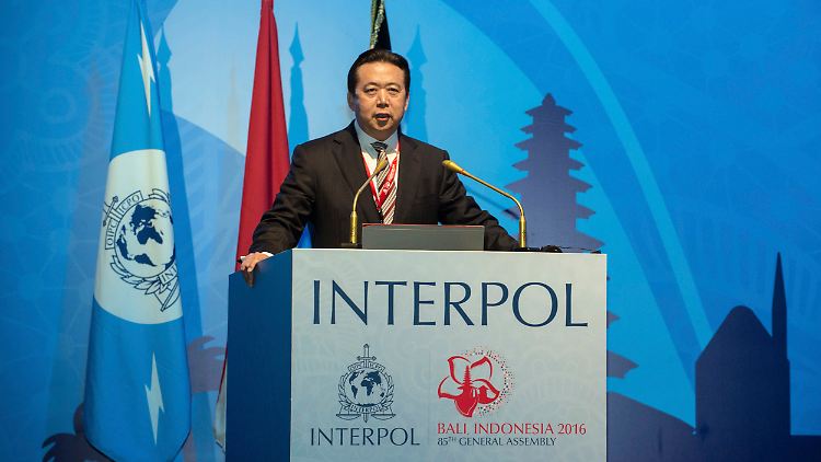 Meng Hongwei ist für vier Jahre als Chef von Interpol gewählt.