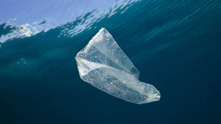 2050 könnte das Gewicht des in den Ozeanen treibenden Plastiks größer sein als das Gesamtgewicht der dort lebenden Fische.