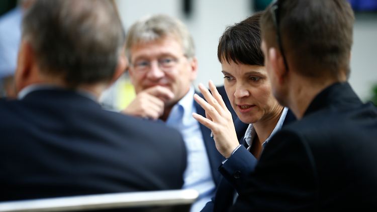 Eine alleinige Spitzenkandidatur von Frauke Petry lehnt der AfD-Bundesvorstand ab.