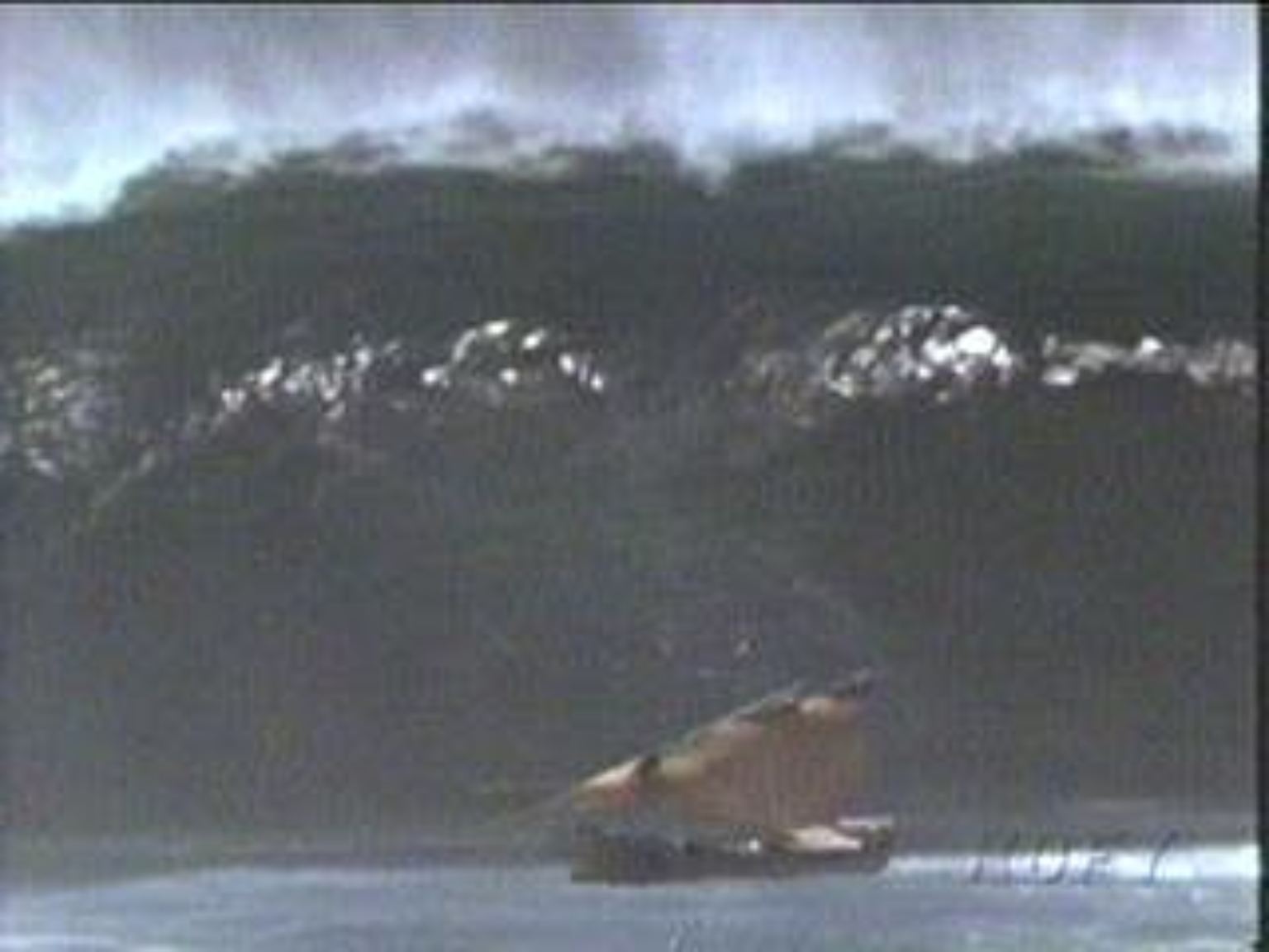 Der Tsunami (japanisch: große Welle im Hafen) entsteht, wenn Erdbeben oder Vulkanausbrüche den Meeresboden erschüttern.