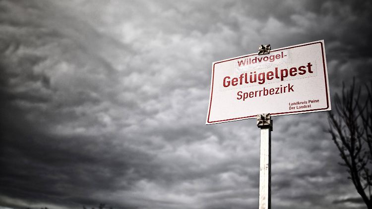 In mehreren teilen Deutschlands wurden bereits Sperrzonen errichtet.