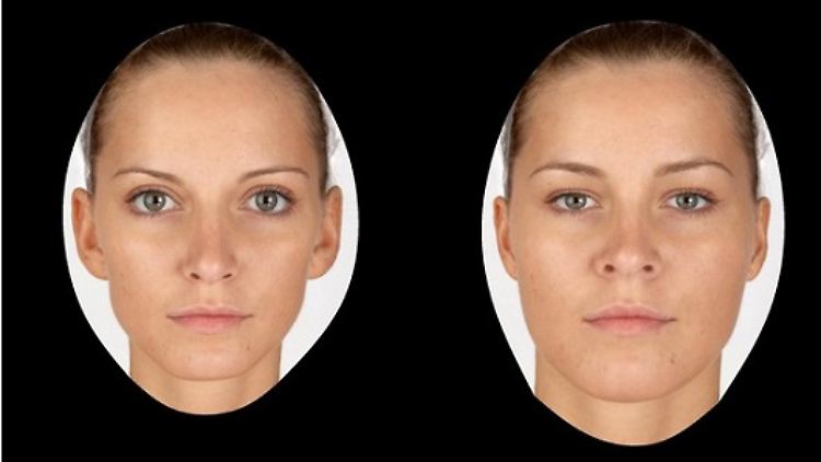 Die männlichen Probanden wählten vor dem Training die schlanken Gesichter.  Schon nach drei Tagen entschieden sie sich öfter für die runden. 