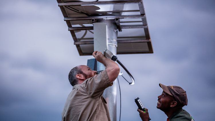 Ein Techniker installiert im Reservat Masai Mara in Nairobi eine Solaranlage für die neuen Kamerasysteme.