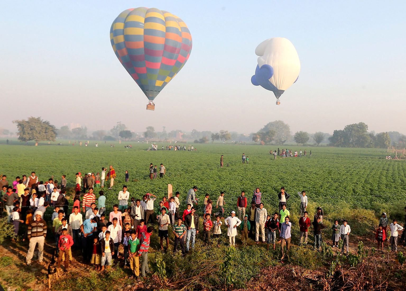 In Agra im indischen Bundesstaat Uttar Pradesh lohnt derzeit der Blick in den Himmel besonders, ...