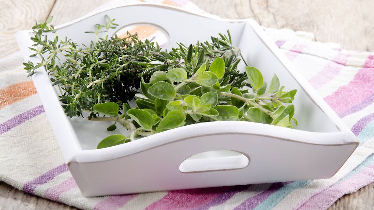 Gängige Küchenkräuter wie Oregano und Rosmarin waren bei der Kontrolle oft belastet.