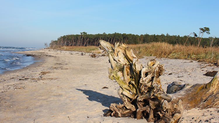 Der Wind ist stark, doch das sollte Ostsee-Urlauber auch in der kalten Jahreszeit nicht abschrecken.